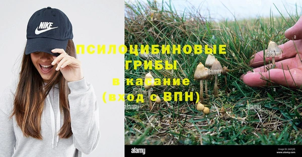 каннабис Снежногорск