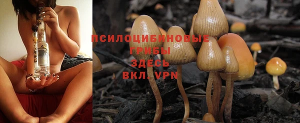 дурь Беломорск