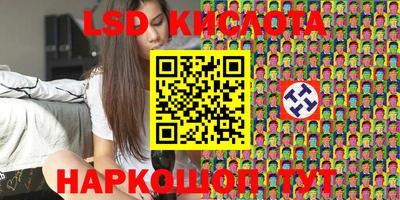 мяу мяу мука Гатчина