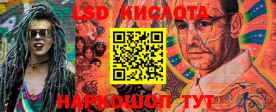 мяу мяу мука Гатчина