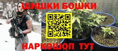 эйфоретик Гай