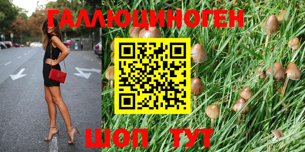 Псилоцибиновые грибы прущие грибы  Горячий Ключ 