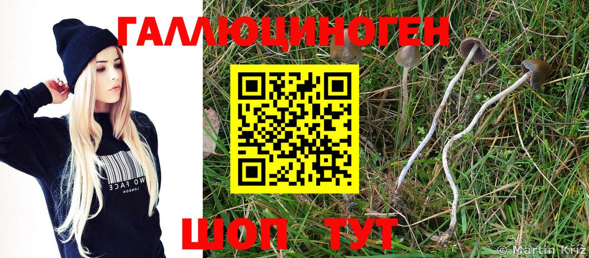 дарнет шоп  Галлюциногенные грибы ЛСД  Вход с VPN  Галлюциногенные грибы Cubensis  Горячий Ключ 