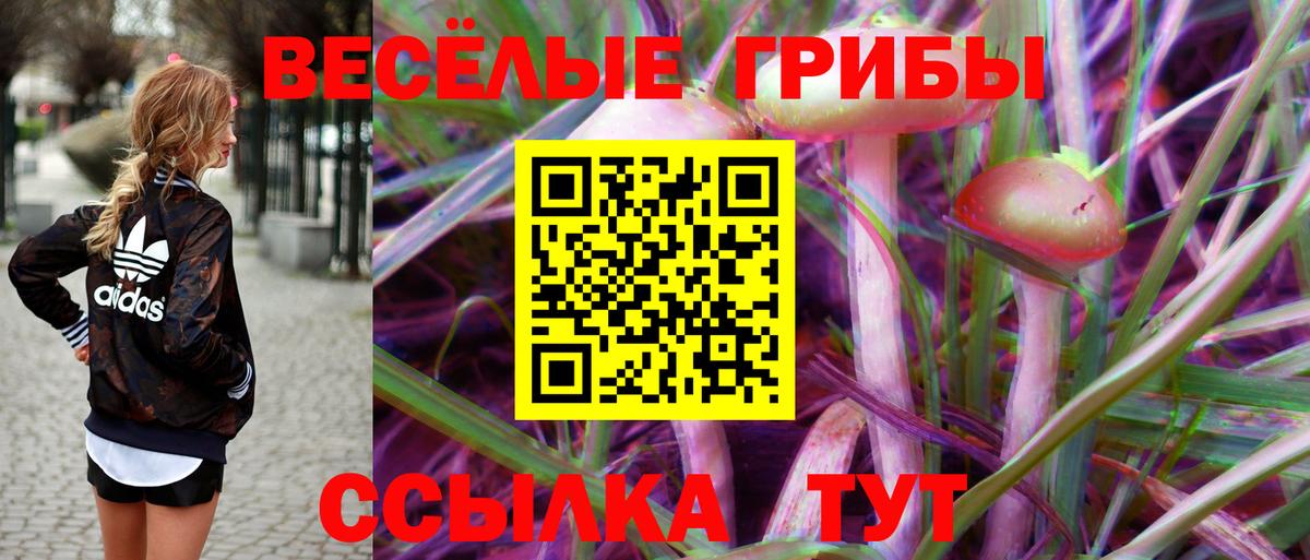 Псилоцибиновые грибы мицелий Горячий Ключ
